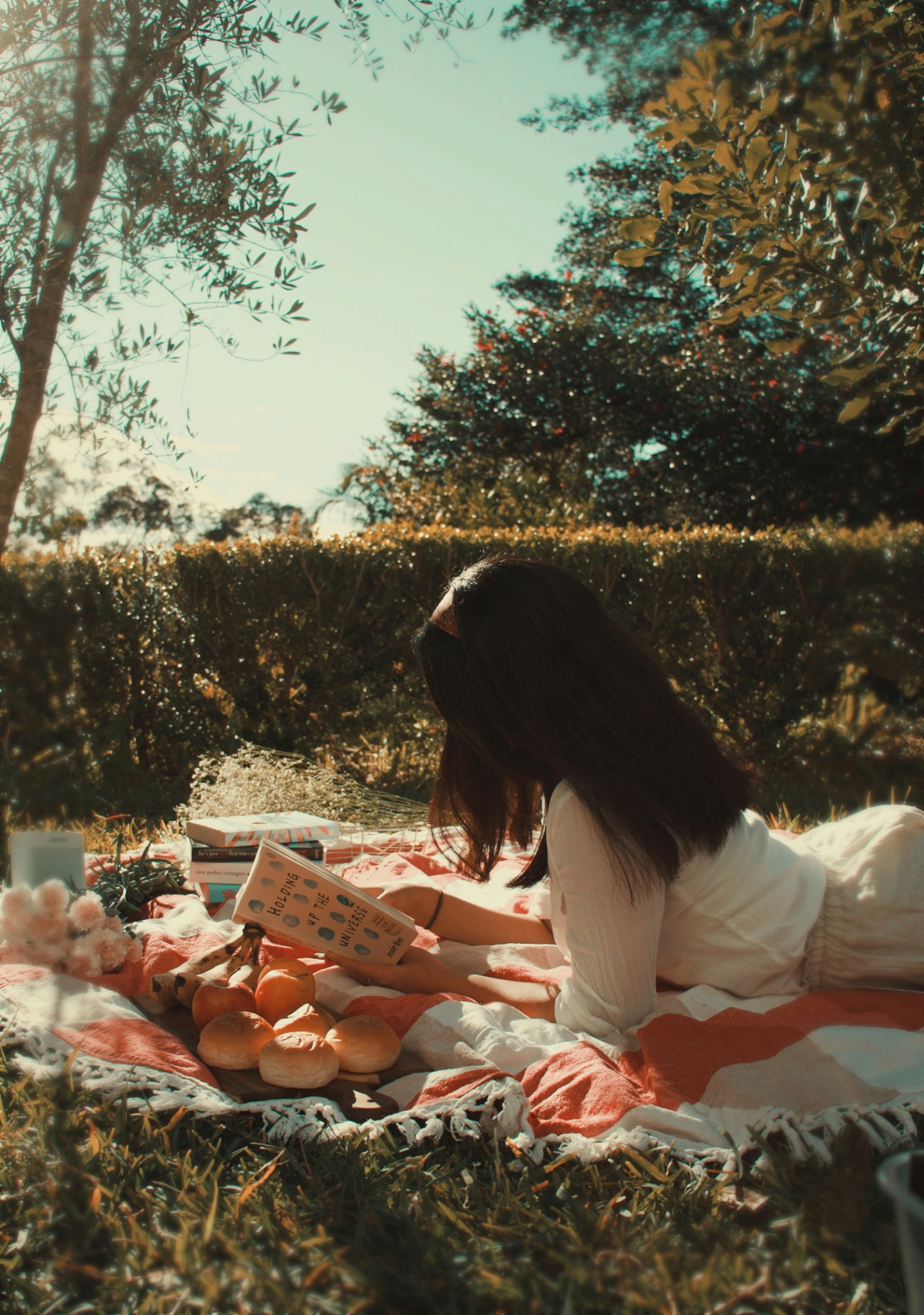 Original picnic photo from camera roll